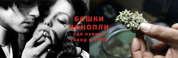 PSILOCYBIN Майский