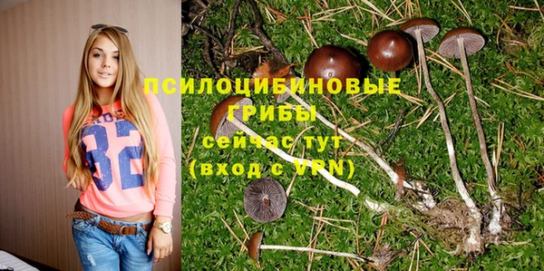 Альфа ПВП Медвежьегорск