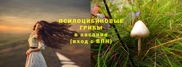 Альфа ПВП Медвежьегорск