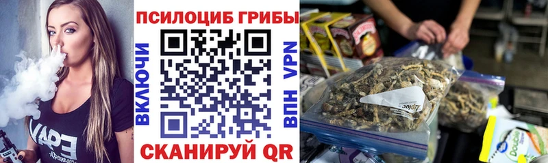 Галлюциногенные грибы MAGIC MUSHROOMS  где купить наркоту  Городище 